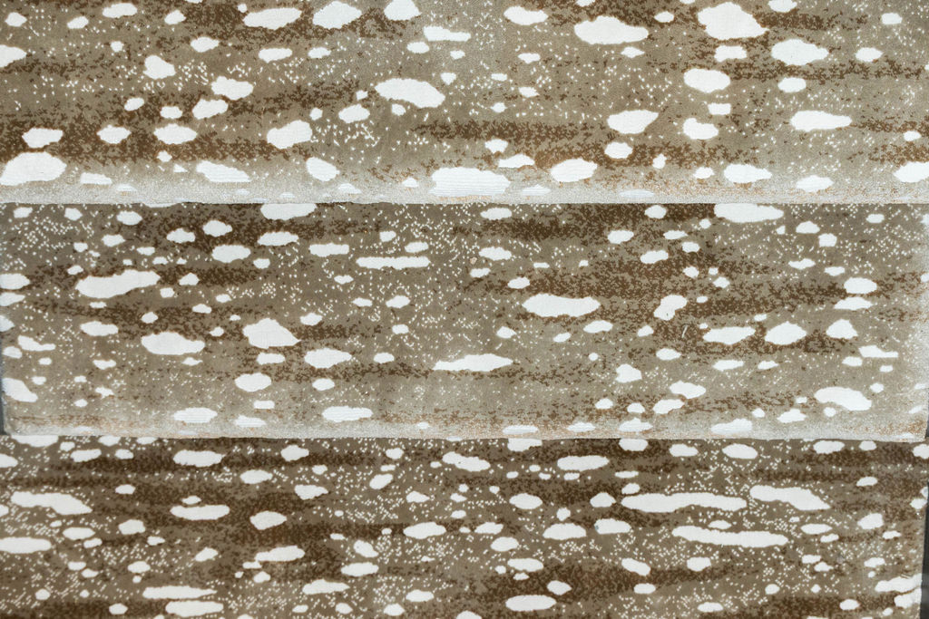 Alpine Oasis Theater