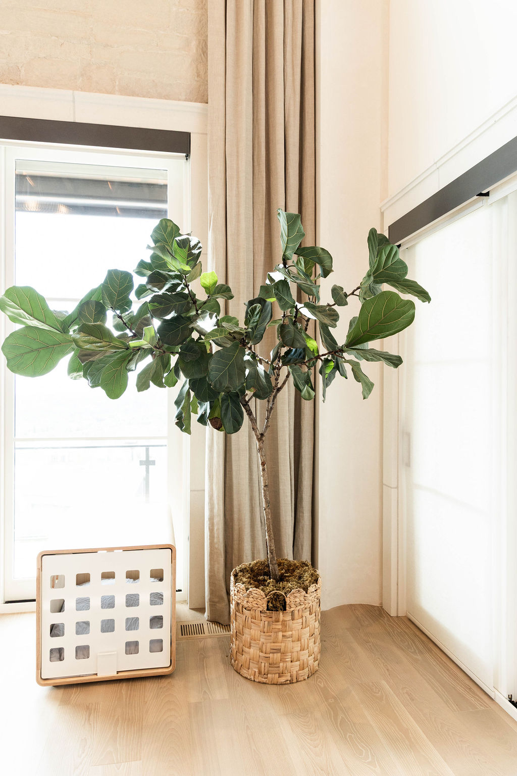 Room With A View home family room